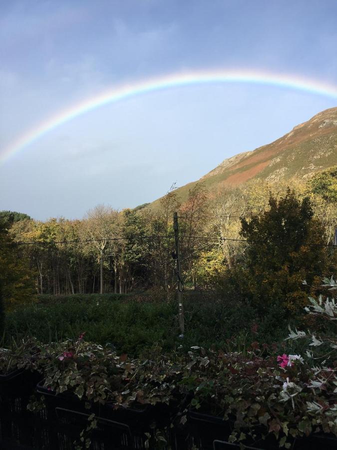 Woodbriar Bed & Breakfast Penmaen-mawr Eksteriør bilde